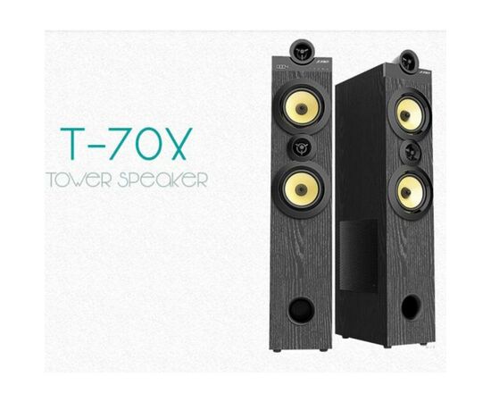 Акустическая система F&D T-70X Black