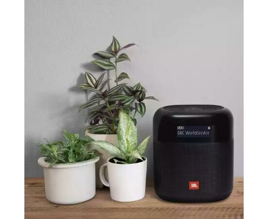 Акустическая система JBL Tuner XL Black (JBLTUNERXLBLKEU), изображение 7 Акустическая система JBL Tuner XL Black (JBLTUNERXLBLKEU), изображение 7