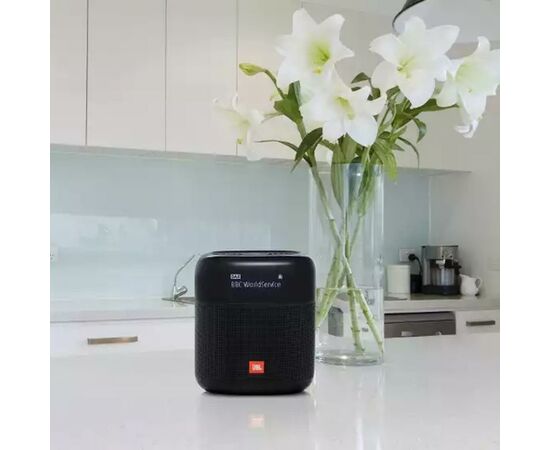 Акустическая система JBL Tuner XL Black (JBLTUNERXLBLKEU), изображение 8 Акустическая система JBL Tuner XL Black (JBLTUNERXLBLKEU), изображение 8
