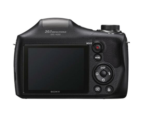Цифровой фотоаппарат Sony Cyber-shot DSC-H300 (DSCH300.RU3), изображение 4 Цифровой фотоаппарат Sony Cyber-shot DSC-H300 (DSCH300.RU3), изображение 4