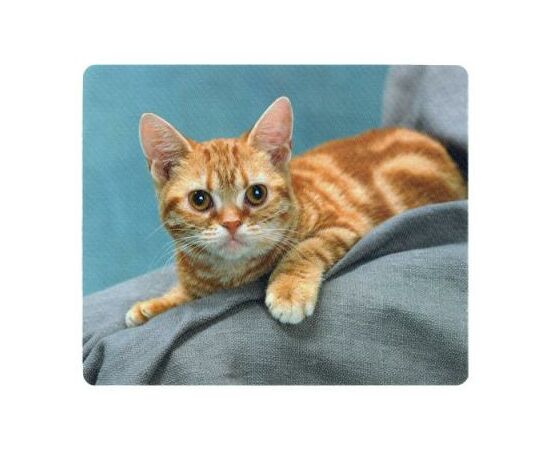 Коврик для мышки Defender Silk (50706), изображение 2