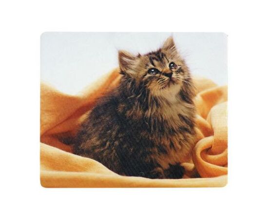 Коврик для мышки Defender Silk (50706), изображение 4