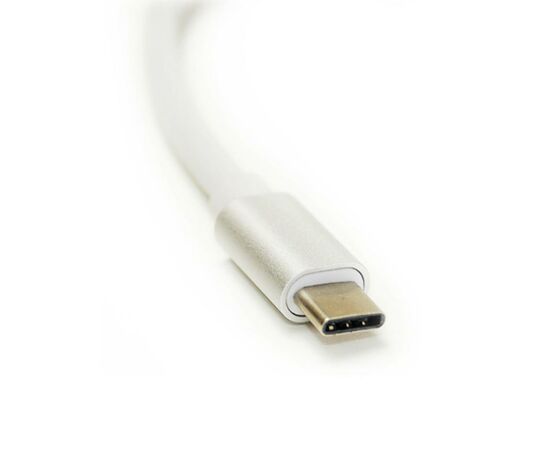 Переходник Type-C to HDMI F 0.15m PowerPlant (KD00AS1272), изображение 3 Переходник Type-C to HDMI F 0.15m PowerPlant (KD00AS1272), изображение 3
