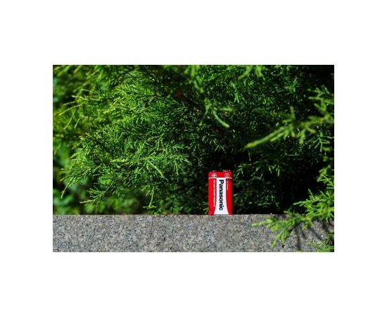 Батарейка Panasonic Крона Special 6F22 * 1 (6F22REL/1BP), изображение 4 Батарейка Panasonic Крона Special 6F22 * 1 (6F22REL/1BP), изображение 4