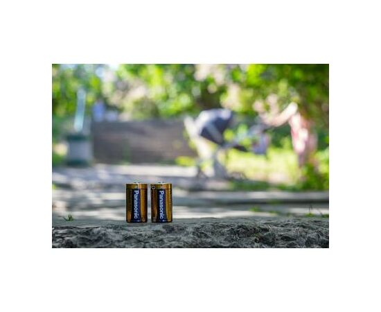 Батарейка Panasonic D LR20 Alkaline Power * 2 (LR20REB/2BP), изображение 3 Батарейка Panasonic D LR20 Alkaline Power * 2 (LR20REB/2BP), изображение 3