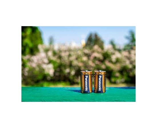 Батарейка Panasonic D LR20 Alkaline Power * 2 (LR20REB/2BP), изображение 4 Батарейка Panasonic D LR20 Alkaline Power * 2 (LR20REB/2BP), изображение 4