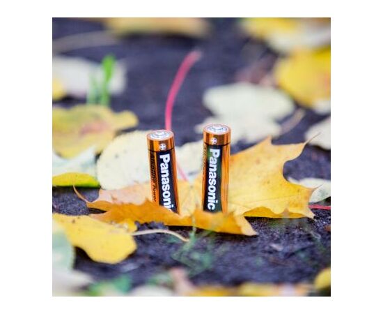 Батарейка Panasonic LR06 Alkaline Power * 2 (LR6REB/2BP), изображение 3 Батарейка Panasonic LR06 Alkaline Power * 2 (LR6REB/2BP), изображение 3