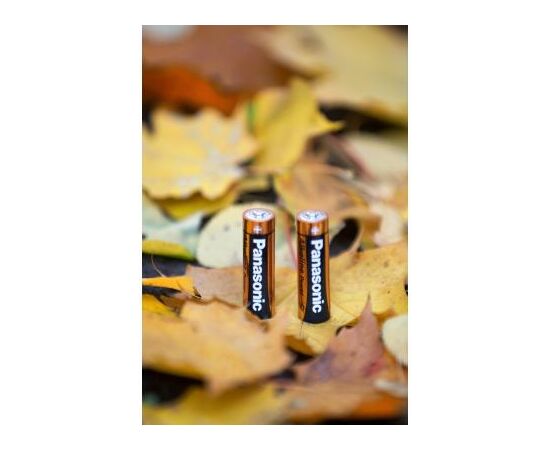 Батарейка Panasonic LR06 Alkaline Power * 2 (LR6REB/2BP), изображение 5 Батарейка Panasonic LR06 Alkaline Power * 2 (LR6REB/2BP), изображение 5
