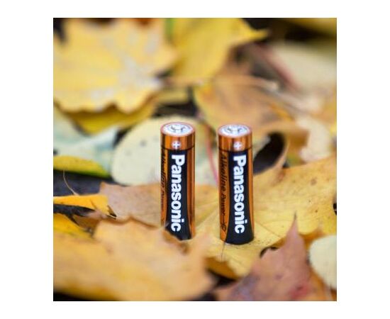 Батарейка Panasonic LR06 Alkaline Power * 10 (LR6REB/10BW), изображение 2 Батарейка Panasonic LR06 Alkaline Power * 10 (LR6REB/10BW), изображение 2