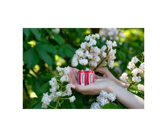 Батарейка Panasonic C R14 RED ZINK * 2 (R14REL/2BPR), изображение 4
