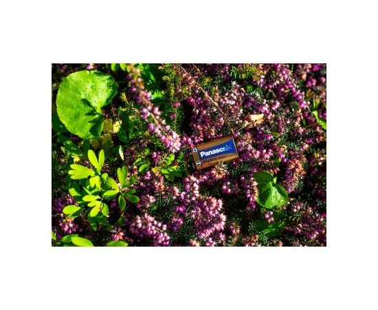 Батарейка Panasonic Крона 6LR61 Alkaline Power * 1 (6LF22APB/1BP), изображение 4 Батарейка Panasonic Крона 6LR61 Alkaline Power * 1 (6LF22APB/1BP), изображение 4