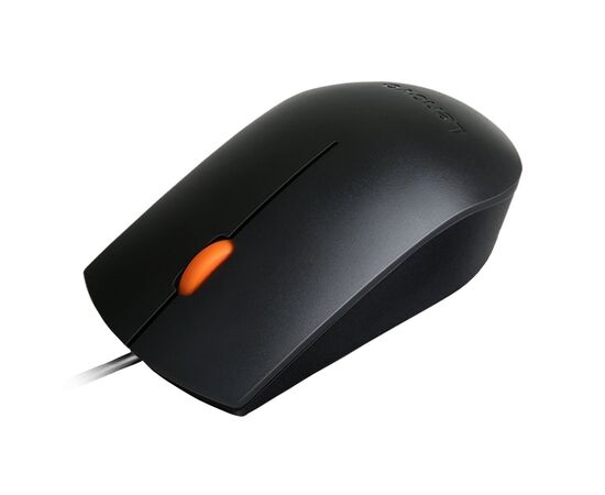 Мишка Lenovo 300 USB Black (GX30M39704)
