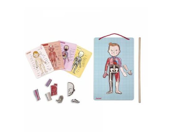 Игровой набор Janod Тело человека (J05491)
