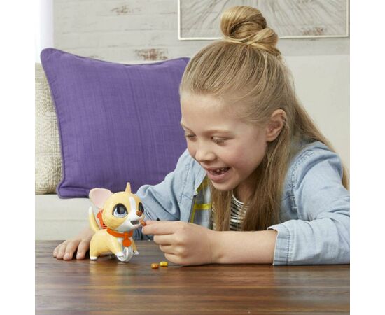 Интерактивная игрушка Hasbro FurReal Friends Маленький шаловливый питомец Корги (E8899_E8950), изображение 3 Интерактивная игрушка Hasbro FurReal Friends Маленький шаловливый питомец Корги (E8899_E8950), изображение 3