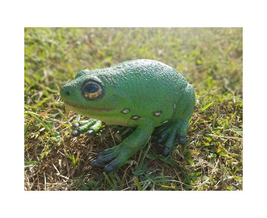 Фигурка Lanka Novelties Жаба зеленая древесная 22 см (21554), изображение 3 Фигурка Lanka Novelties Жаба зеленая древесная 22 см (21554), изображение 3