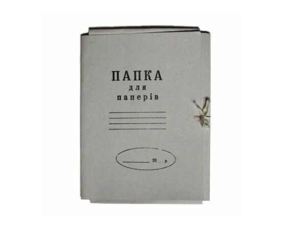 Папка на зав'язках Buromax А4, carton 0,4мм (glued flap) (BM.3356)
