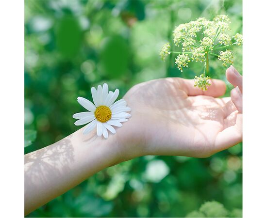 Гигиенические прокладки Naturella Ultra Normal 10 шт (4015400125037), изображение 6 Гигиенические прокладки Naturella Ultra Normal 10 шт (4015400125037), изображение 6