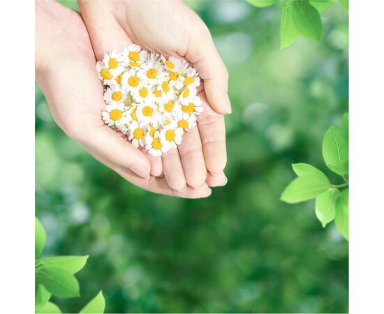 Гигиенические прокладки Naturella Ultra Normal 10 шт (4015400125037), изображение 7 Гигиенические прокладки Naturella Ultra Normal 10 шт (4015400125037), изображение 7