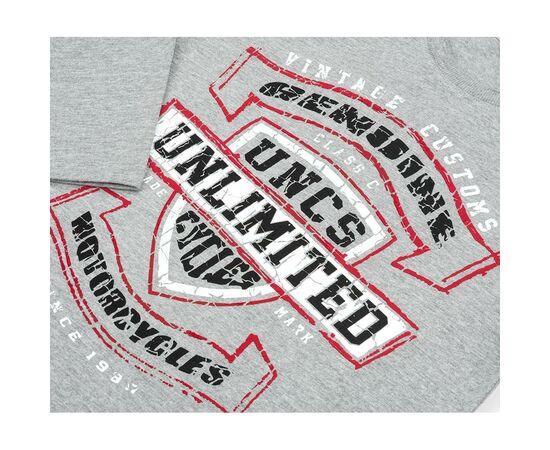 Кофта Breeze "Vintage customs" (11616-152B-gray), изображение 4