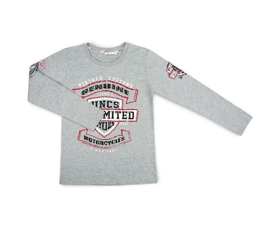 Кофта Breeze "Vintage customs" (11616-152B-gray)