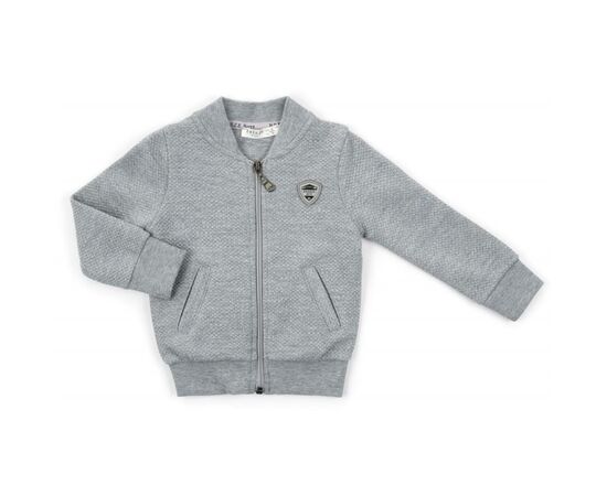 Кофта на молнии Breeze (13593-86B-gray)