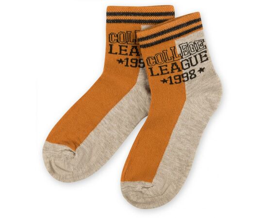 Носки Bross "College league " бежевые (12212-1-3B-beige)