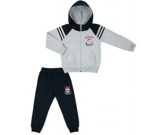 Спортивний костюм Breeze на блискавці з капюшоном (13767-110B-gray)