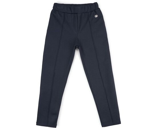 Штани дитячі Breeze трикотажные (11663-152G-blue)