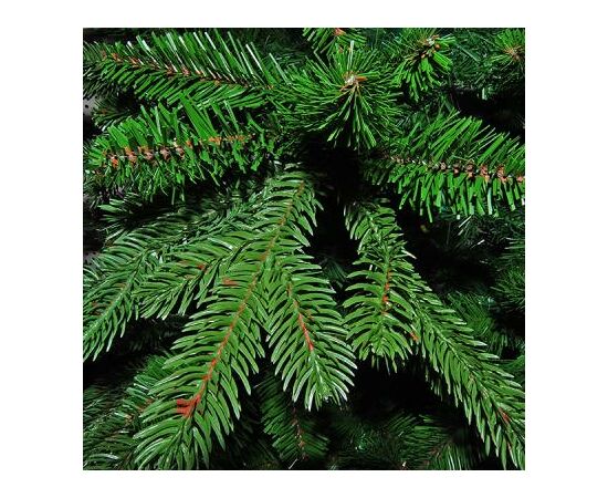 Искусственная сосна Triumph Tree Forest Frosted зеленая с инеем 3,05 м (8711473151534), изображение 2 Искусственная сосна Triumph Tree Forest Frosted зеленая с инеем 3,05 м (8711473151534), изображение 2