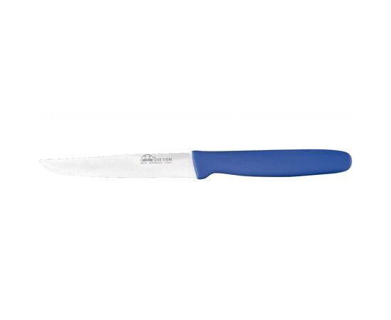 Кухонный нож Due Cigni Steak Knife 11 см Blue (713/11B)