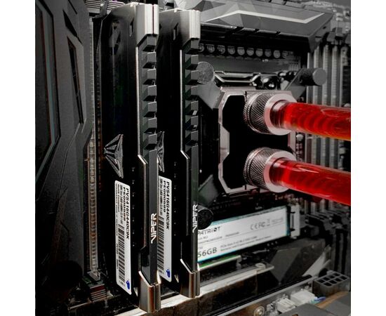 Модуль памяти для компьютера DDR4 16GB (2x8GB) 3600 MHz Viper Steel Patriot (PVS416G360C7K), изображение 8 Модуль памяти для компьютера DDR4 16GB (2x8GB) 3600 MHz Viper Steel Patriot (PVS416G360C7K), изображение 8