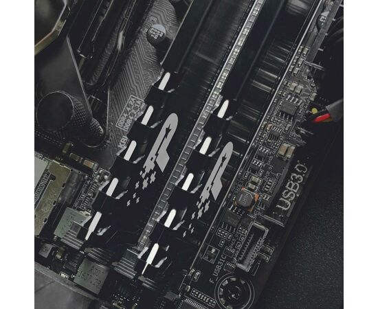 Модуль памяти для компьютера DDR4 8GB 3200 MHz Signature Line Premium Patriot (PSP48G320081H1), изображение 3 Модуль памяти для компьютера DDR4 8GB 3200 MHz Signature Line Premium Patriot (PSP48G320081H1), изображение 3