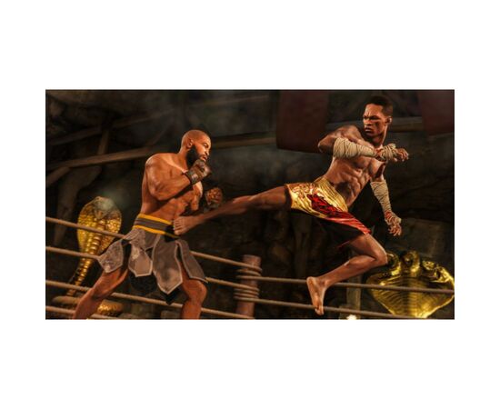 Игра Sony EA SPORTS UFC 4 [PS4, Russian subtitles] (1055615), изображение 3