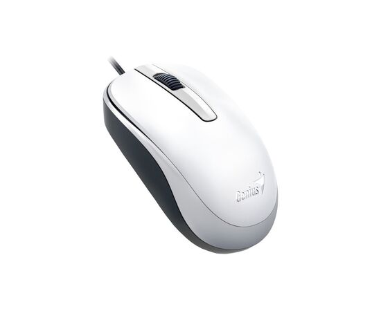 Мышка Genius DX-120 USB White (31010105102)