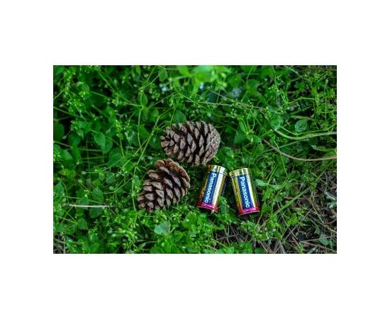 Батарейка Panasonic C LR14 Pro Power * 2 (LR14XEG/2BP), изображение 3