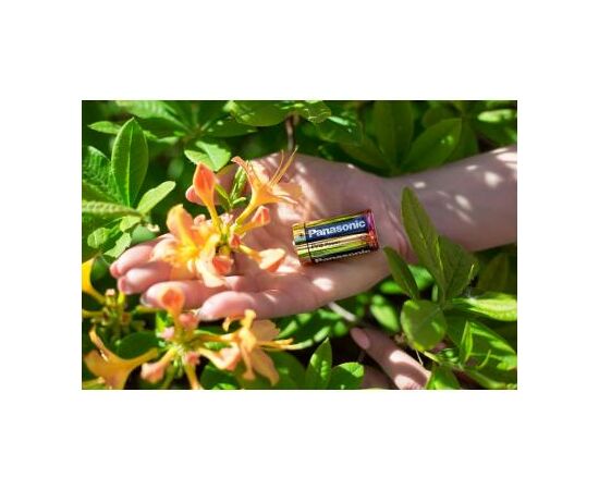 Батарейка Panasonic C LR14 Pro Power * 2 (LR14XEG/2BP), изображение 4