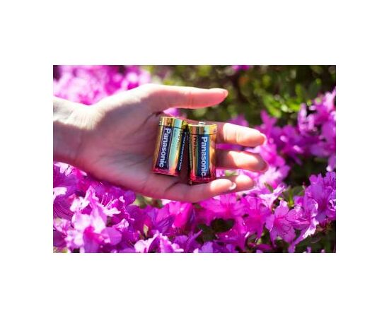 Батарейка Panasonic C LR14 Pro Power * 2 (LR14XEG/2BP), изображение 5