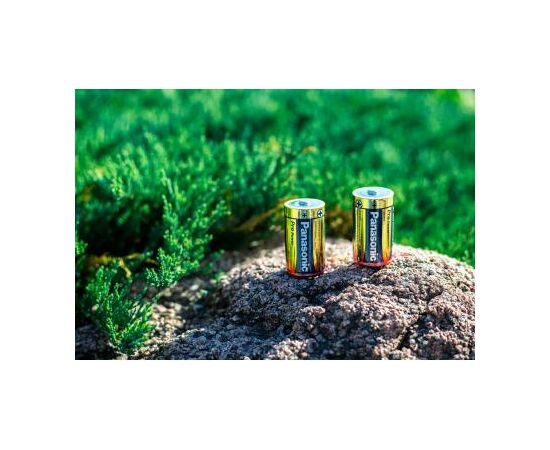 Батарейка Panasonic D LR20 Pro Power * 2 (LR20XEG/2BP), изображение 3