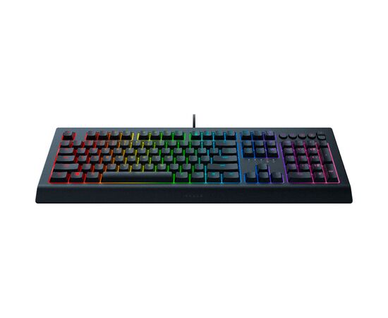 Клавиатура Razer Cynosa V2 (RZ03-03400700-R3R1), изображение 3 Клавиатура Razer Cynosa V2 (RZ03-03400700-R3R1), изображение 3