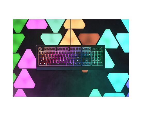 Клавиатура Razer Cynosa V2 (RZ03-03400700-R3R1), изображение 6 Клавиатура Razer Cynosa V2 (RZ03-03400700-R3R1), изображение 6