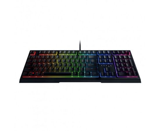 Клавиатура Razer Ornata V2 RU (RZ03-03380700-R3R1), изображение 5 Клавиатура Razer Ornata V2 RU (RZ03-03380700-R3R1), изображение 5