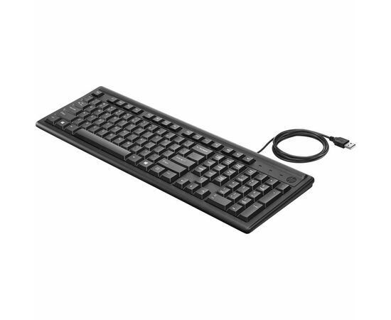 Клавиатура HP 100 USB Black (2UN30AA), изображение 2 Клавиатура HP 100 USB Black (2UN30AA), изображение 2