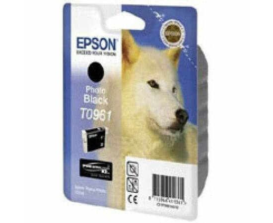 Картридж Epson St Photo R2880 photo black (C13T09614010)