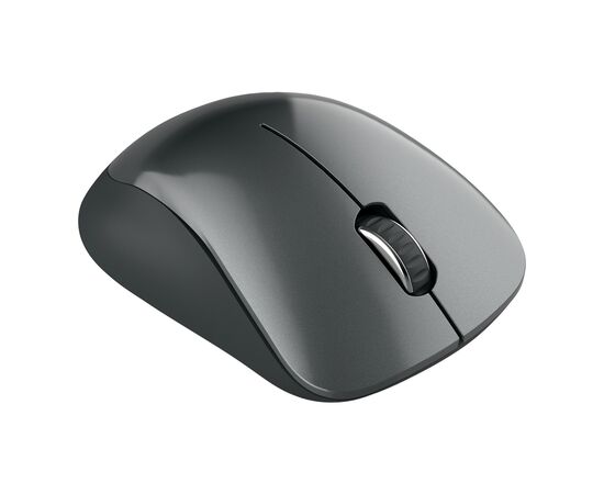 Мышка Canyon MW-11 Wireless Pixart Black (CNE-CMSW11B), изображение 5 Мышка Canyon MW-11 Wireless Pixart Black (CNE-CMSW11B), изображение 5