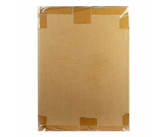 Тонер SAMSUNG ML-1710/SCX-4100, 2x10 kg Tomoegawa (KDM-01), зображення 2 Тонер SAMSUNG ML-1710/SCX-4100, 2x10 kg Tomoegawa (KDM-01), зображення 2