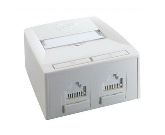 Комп'ютерна розетка RJ45x2 UTP cat.6 568A/B UTP Synergy DG+ Molex (SSY-00007-02)