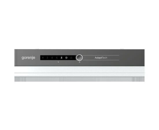 Холодильник Gorenje RI2181A1, изображение 3