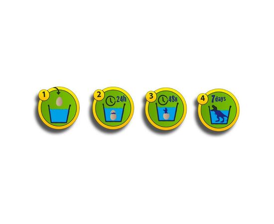 Игровой набор Ses Creative растущая игрушка Дино в яйце (25063S), изображение 3 Игровой набор Ses Creative растущая игрушка Дино в яйце (25063S), изображение 3