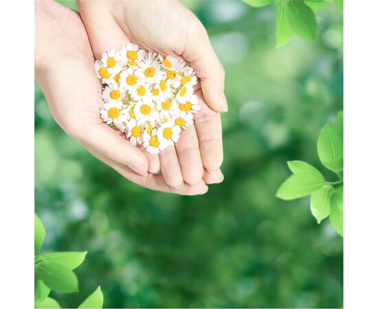 Гігієнічні прокладки Naturella Classic Normal 40 шт (4015400317937), зображення 6 Гігієнічні прокладки Naturella Classic Normal 40 шт (4015400317937), зображення 6