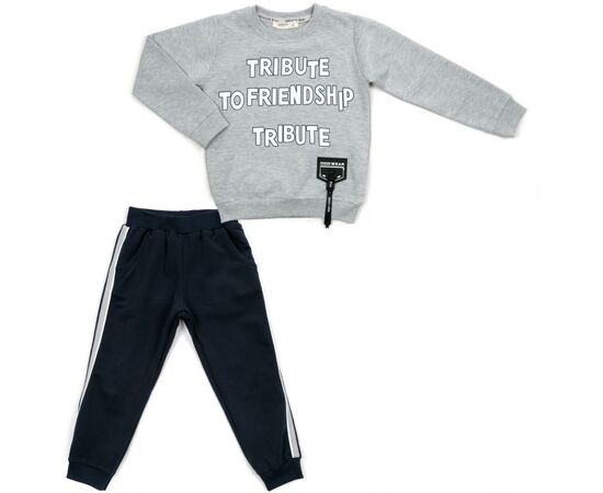 Набор детской одежды Breeze "FRIENDSHIP" (14775-110B-gray)